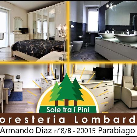 Sole Tra I Pini - Foresteria Lombarda Parabiago Exterior foto